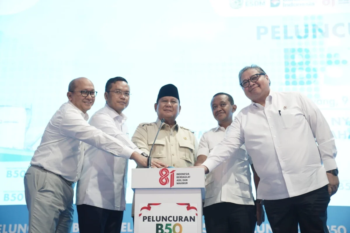 WhatsApp Image 2026-07-09 at 20.32.20